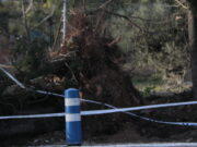 Les ratxes de vent freguen els 140 km/h al Camp de Tarragona, l’Ebre i extrem nord de l’Empordà