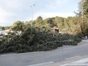 Prop de 200 avisos als Bombers pel temporal de vent, especialment al Camp de Tarragona i l’Ebre