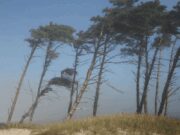Alerten sobre ventades fortes que poden afectar activitats a l’aire lliure