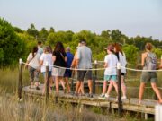El camí Cal Bofill – Baix a Mar – Els Muntanyans rep de nou el certificat de Sender Blau
