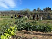 S’aprova novament el projecte de rehabilitació dels Horts de Cal Dània a Torredembarra