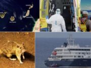 L’Institut Coordenades alerta de l’impacte digital i mediàtic de l’hantavirus a Canàries