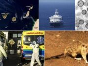 La crisi del MV Hondius amenaça la imatge internacional de Canàries
