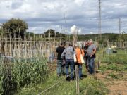 Torredembarra: Lliurament de nous horts ecològics de Cal Dània