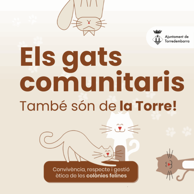 noticia_1781781409.png